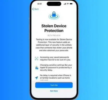 毛嘴镇苹果授权维修店分享被盗设备保护功能开启方法 
