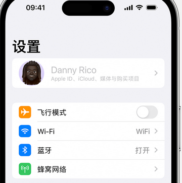 毛嘴镇appleID维修服务iPhone设置中Apple ID显示为灰色无法使用 