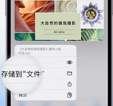 毛嘴镇apple维修中心分享iPhone文件应用中存储和找到下载文件