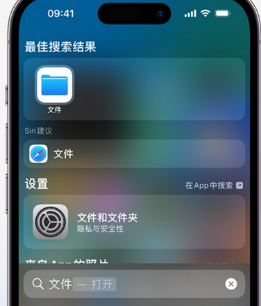 毛嘴镇apple维修中心分享iPhone文件应用中存储和找到下载文件