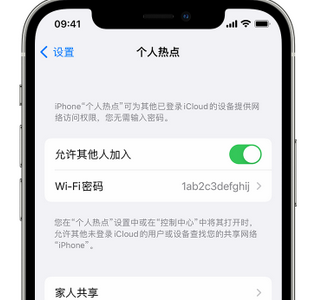 毛嘴镇apple服务站点分享iPhone上个人热点丢失了怎么办