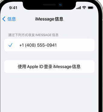 毛嘴镇apple维修iPhone上无法正常发送iMessage信息 