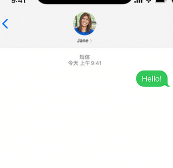 毛嘴镇apple维修iPhone上无法正常发送iMessage信息