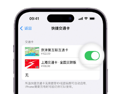 毛嘴镇apple维修点分享iPhone上更换Apple Pay快捷交通卡手绘卡面 