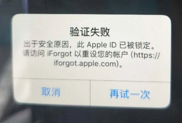 毛嘴镇iPhone维修分享iPhone上正常登录或使用AppleID怎么办 