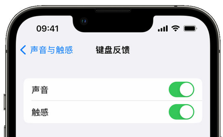 毛嘴镇苹果手机维修分享iPhone 14触感键盘使用方法 