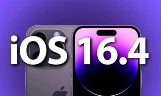 毛嘴镇苹果14维修分享：iPhone14可以升级iOS16.4beta2吗？ 