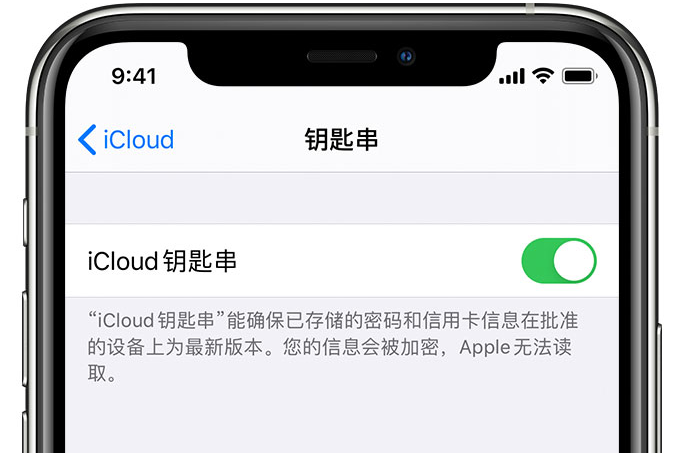 毛嘴镇苹果手机维修分享在 iPhone 上开启 iCloud 钥匙串之后会储存哪些信息 