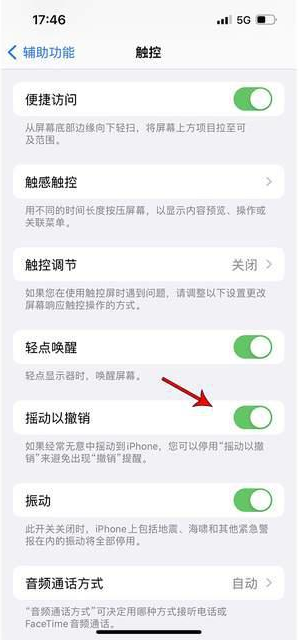 毛嘴镇苹果手机维修分享iPhone手机如何设置摇一摇删除文字 