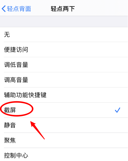 毛嘴镇苹果手机维修分享iPhone12如何启用双击截屏 